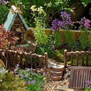 The Fairy Gardens