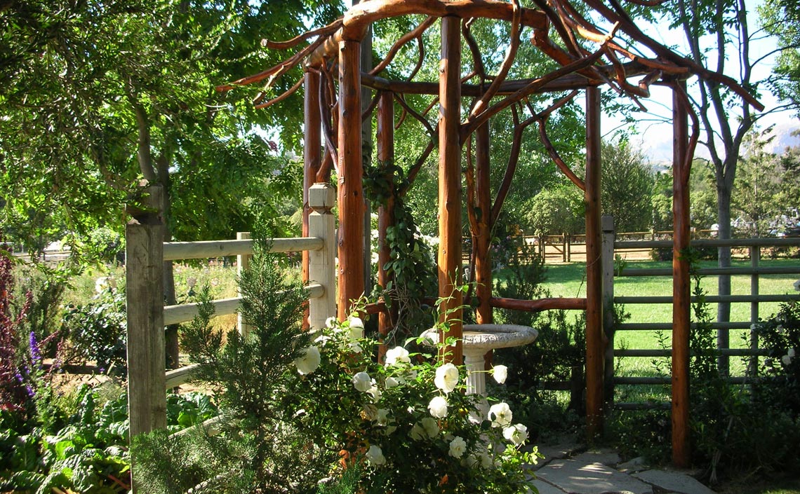 Weddings in the Garden